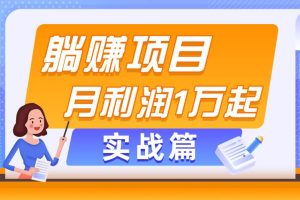 躺赚副业项目，月利润1万起，当天见收益，实战篇