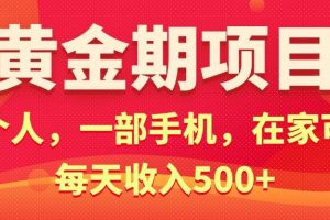 黄金期项目，电商搞钱！一个人，一部手机，在家可做，每天收入500+