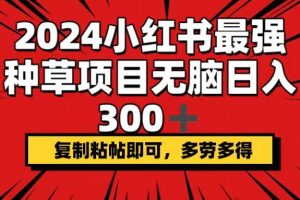 2024小红书最强种草项目，无脑日入300+，复制粘帖即可，多劳多得