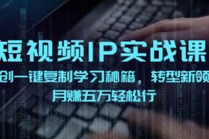 短视频 IP实战课，独创一键复制学习秘籍，转战新领域，月赚五万轻松行