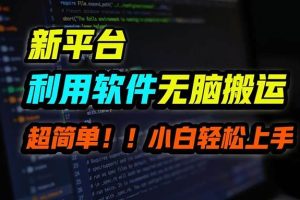 B站平台用软件无脑搬运，月赚10000+，小白也能轻松上手