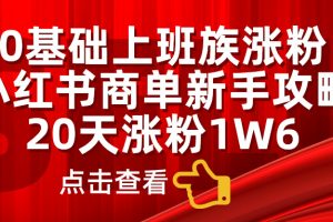 0基础上班族涨粉，小红书商单新手攻略，20天涨粉1.6w