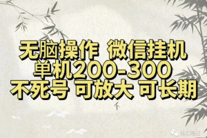 无脑操作微信视频号挂机单机200-300一天，不死号，可放大，工作室实测