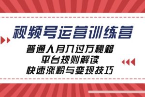 视频号运营训练营：普通人月入过万秘籍，平台规则解读，快速涨粉与变现