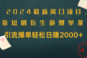 2024最新风口项目，引流爆单轻松日赚2000+，靠短剧衍生做爆单量