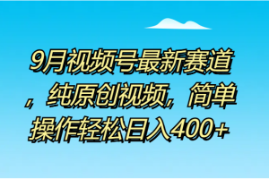 9月视频号最新赛道，纯原创视频，简单操作轻松日入400+