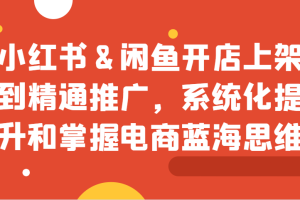 小红书&闲鱼开店上架到精通推广，系统化提升和掌握电商蓝海思维