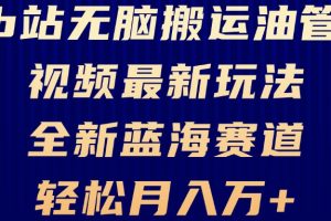 B站无脑搬运油管视频最新玩法，轻松月入过万，小白轻松上手，全新蓝海赛道