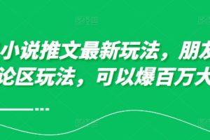 10月小说推文最新玩法，朋友圈图文评论区玩法，可以爆百万大流量 