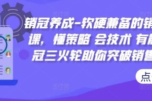 销冠养成-软硬兼备的销售技能课，懂策略 会技术 有能力 销冠三火轮助你突破销售瓶颈!