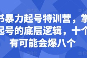 小红书暴力起号特训营，掌握小红书起号的底层逻辑，十个帖真有可能会爆八个