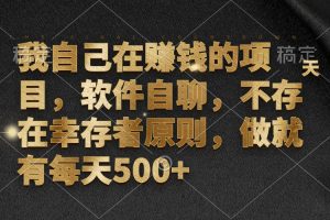 我自己在赚钱的项目，软件自聊，不存在幸存者原则，做就有每天500+