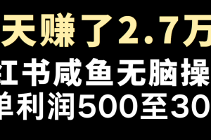 冷门暴利，超级简单的项目0成本玩法，每单在500至4000的利润