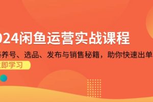 2024闲鱼运营实战课程：揭秘养号、选品、发布与销售秘籍，助你快速出单