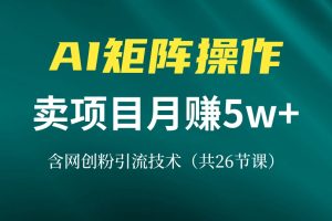 网创IP打造课，借助AI卖项目月赚5万+，含引流技术(共26节课