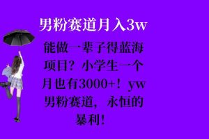 能做一辈子的蓝海项目？小学生一个月也有3000+，yw男粉赛道，永恒的暴利