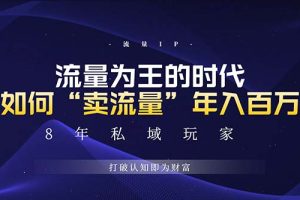 未来如何通过“卖流量”年入百万，跨越一切周期绝对蓝海项目