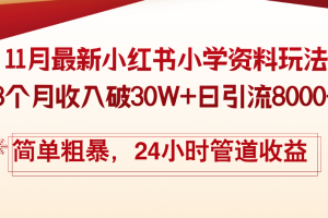 11月份最新小红书小学资料玩法，8个月收入破30W+日引流8000+，简单粗暴…