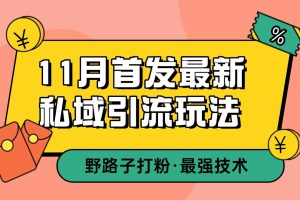 11月首发最新私域引流玩法，自动克隆爆款一键改写截流自热一体化 日引300+精准粉