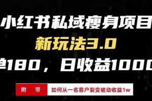 小红书瘦身项目3.0模式，新手小白日赚收益1000+(附从一名客户裂变收益…