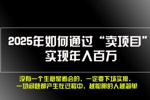 2025年如何通过“卖项目”实现年入百万