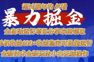 2025暴力掘金项目，想过肥年必看！