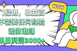 门槛低，收益高，不需要任何经验，谁做谁赚，单日利润3000+