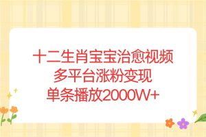 十二生肖宝宝治愈视频，多平台涨粉变现，单条播放2000W+