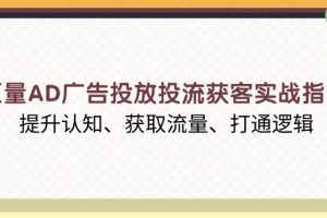 巨量AD广告投放投流获客实战指南，提升认知、获取流量、打通逻辑