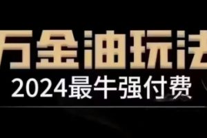 2024最牛强付费，万金油强付费玩法，干货满满，全程实操起飞(更新12月)