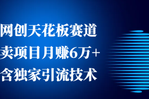 网创天花板赛道，卖项目月赚6万+，含独家引流技术(共26节课)