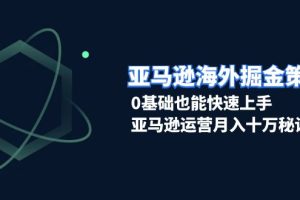 亚马逊海外掘金策略，0基础也能快速上手，亚马逊运营月入十万秘诀