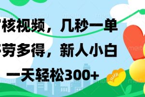 视频审核，新手可做，多劳多得，新人小白一天轻松300+