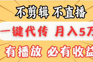 不剪辑不直播，一键代发，月入5万懒人必备，我出视频你来发