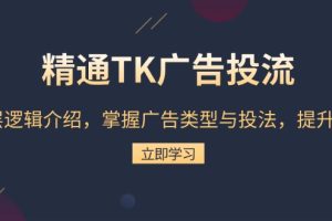 精通TK广告投流：底层逻辑介绍，掌握广告类型与投法，提升效果