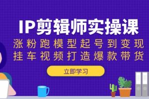 IP剪辑师实操课：涨粉跑模型起号到变现，挂车视频打造爆款带货