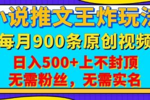 小说推文王炸玩法，一键代发，每月最多领900条原创视频，播放量收益日入5张，无需粉丝，无需实名【揭秘】