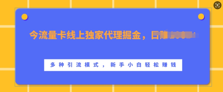 流量卡线上独家代理掘金，日入1k+ ，多种引流模式，新手小白轻松上手【揭秘】