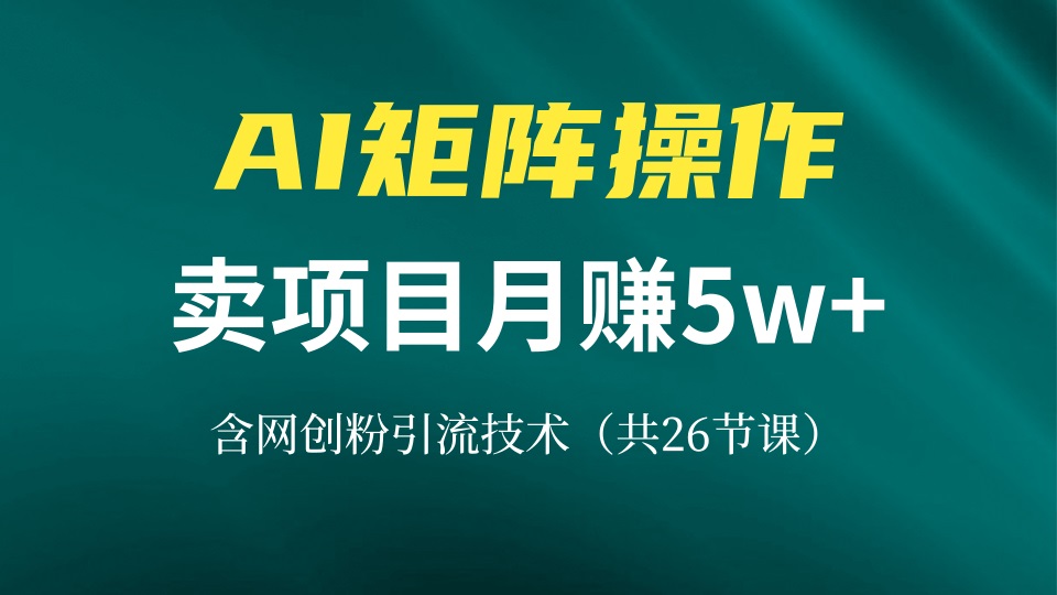 网创IP打造课，借助AI卖项目月赚5万+，含引流技术(共26节课