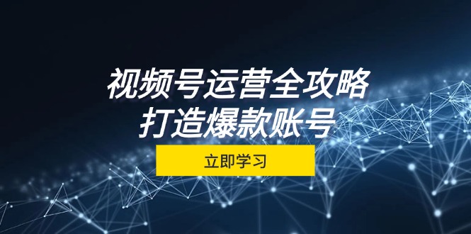 视频号运营全攻略，从定位到成交一站式学习，视频号核心秘诀，打造爆款...